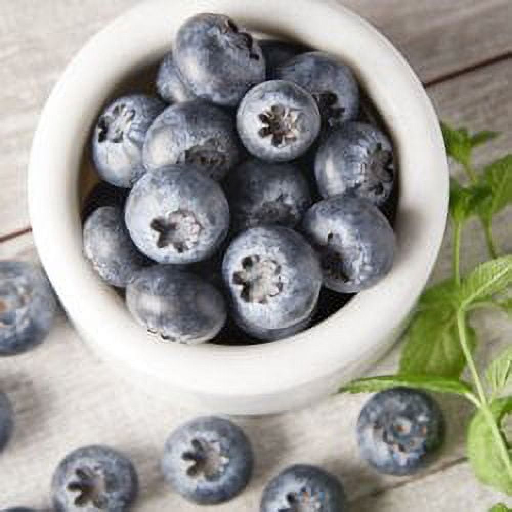 Fresh Blueberries, 1 Pint Container