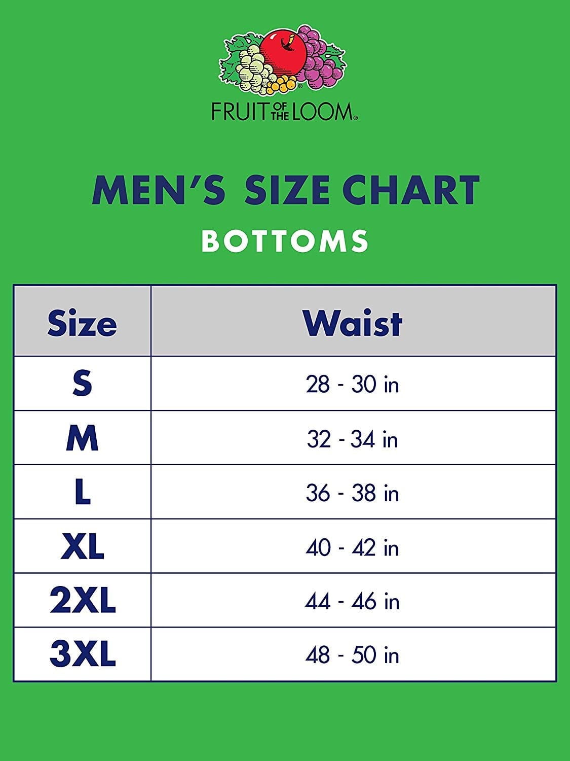 Fruit of the Loom Men's Assorted Fashion Brief (Pack of 6) (Large (36-38), Solids)