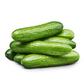 Fresh Organic Mini Cucumbers, 16 oz