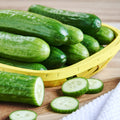 Fresh Mini Cucumbers, 16 oz