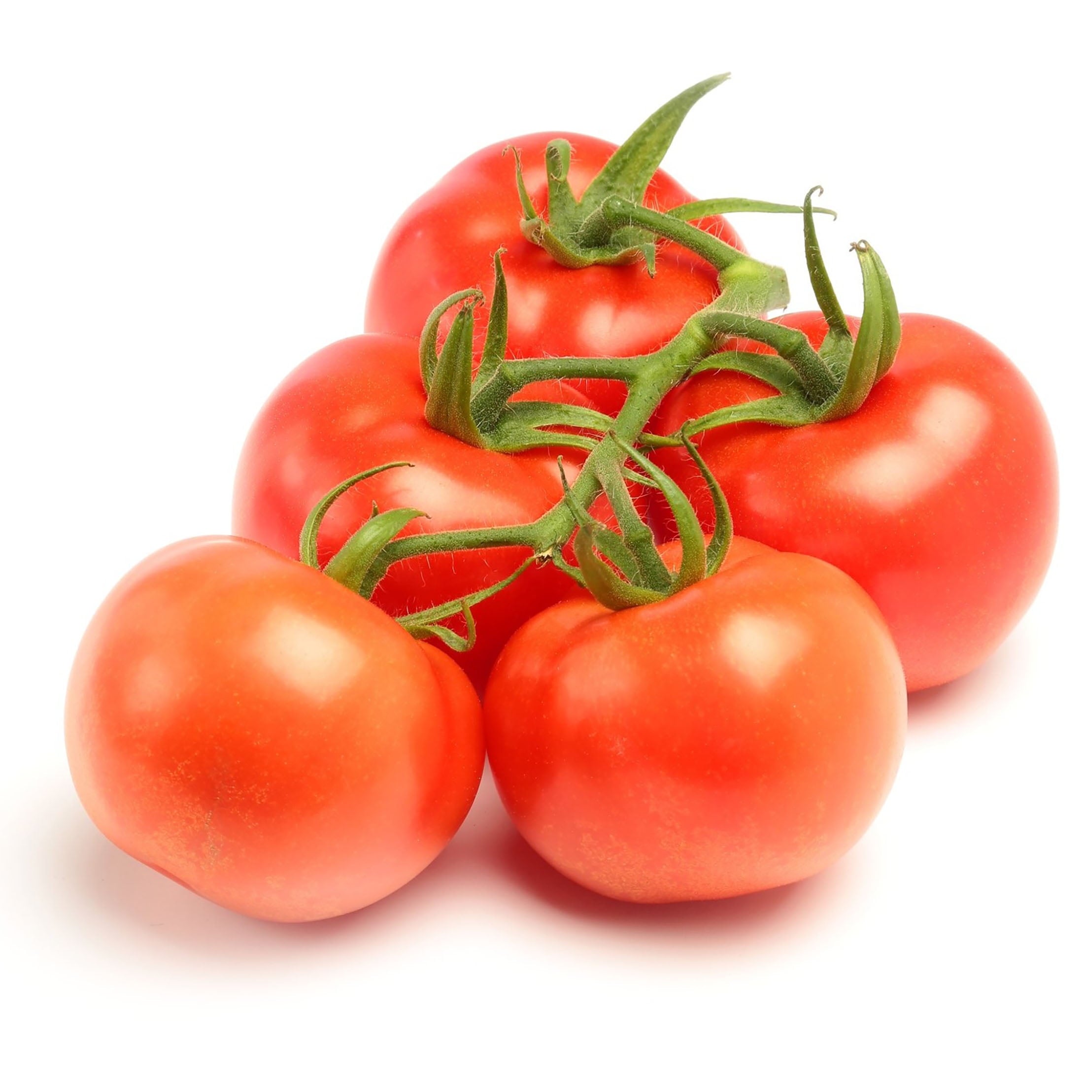 Fresh Tomato on the Vine, Bag (1.9 lbs/Bag Est.)