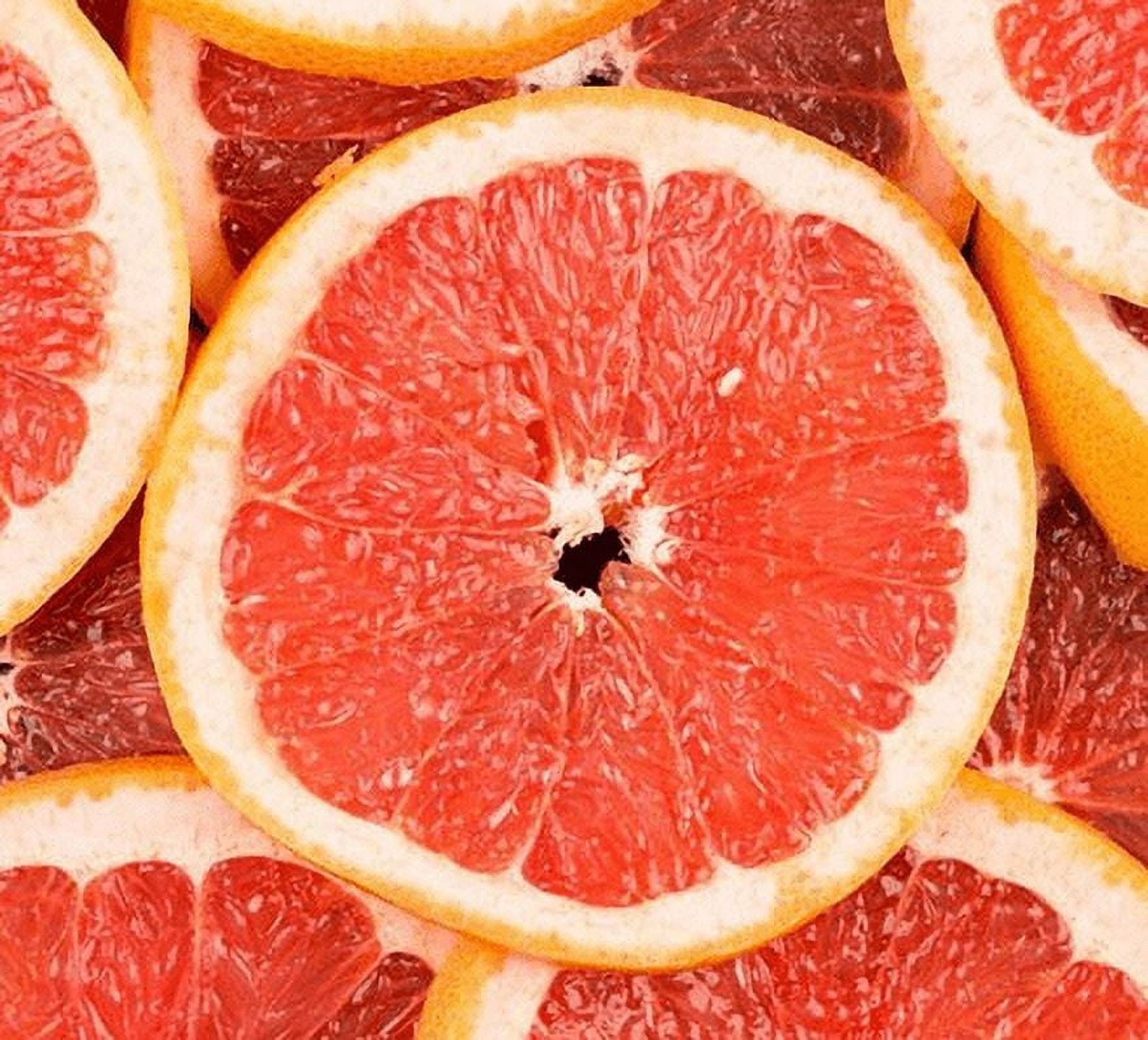 Fresh Grapefruit, Each