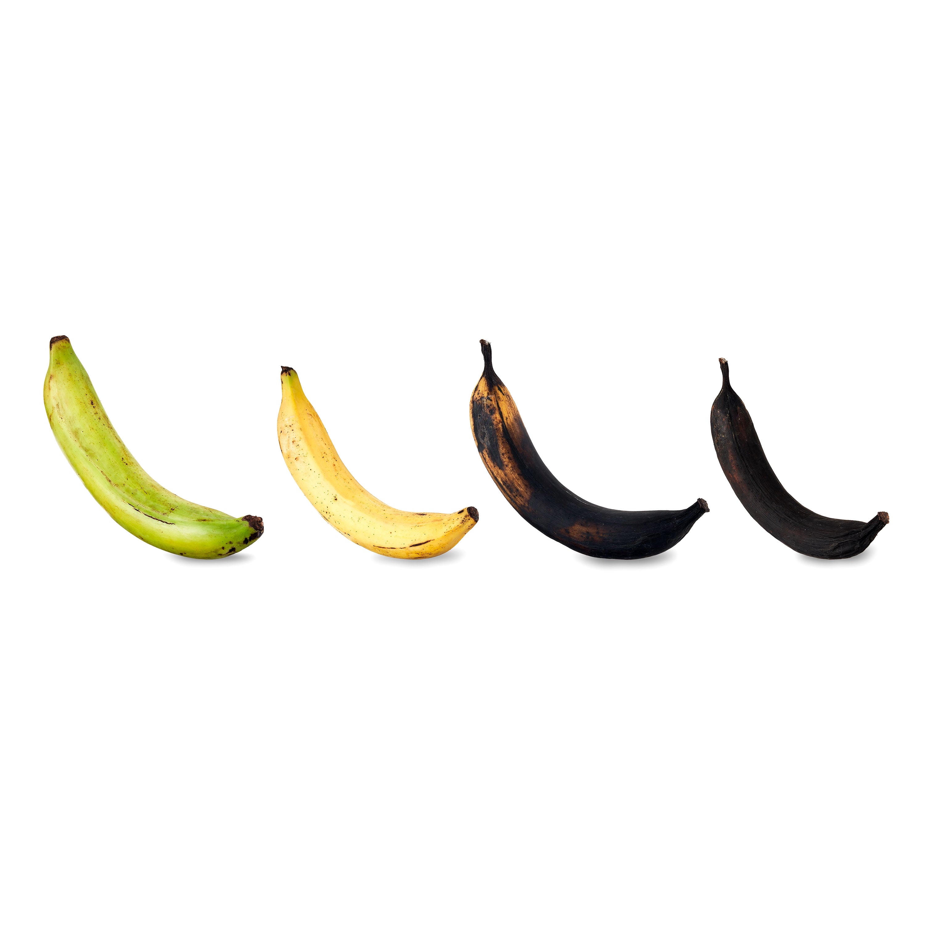 Fresh Plantain, Each