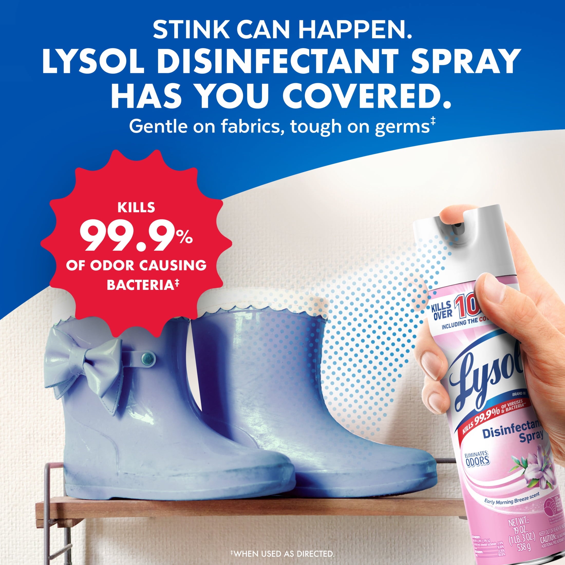 Lysol Disinfectant Spray, Sanitizing and Antibacterial Spray, Deodorizer, Early Morning Breeze, 19 oz