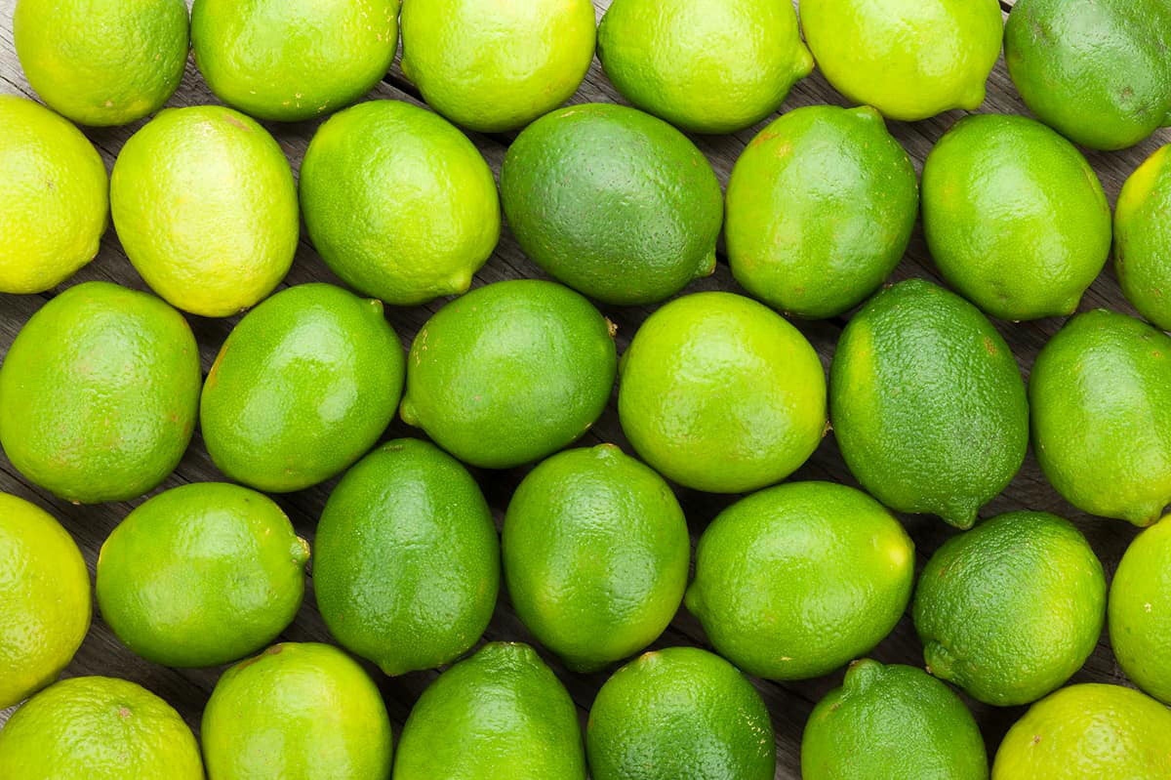 Fresh Limes, 2 lb Bag