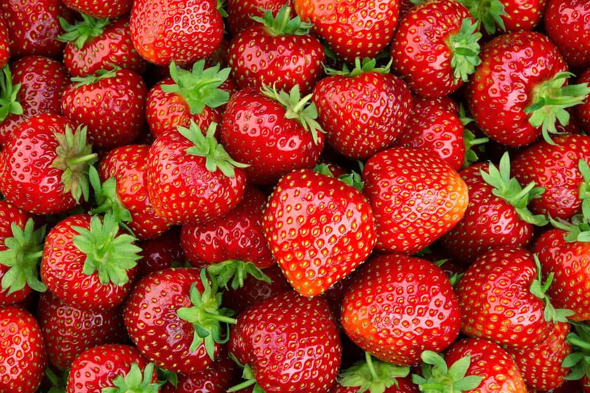 Fresh Strawberries, 2 lb Container
