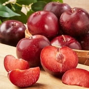 Fresh Pluots 2lb Bag